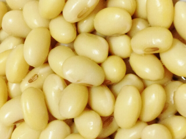 幸せおじさん2020年8月14日大豆