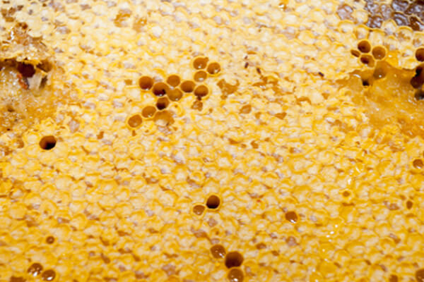 テストステロンにも効果あり？「栄養の宝庫」ローヤルゼリーの働きとは