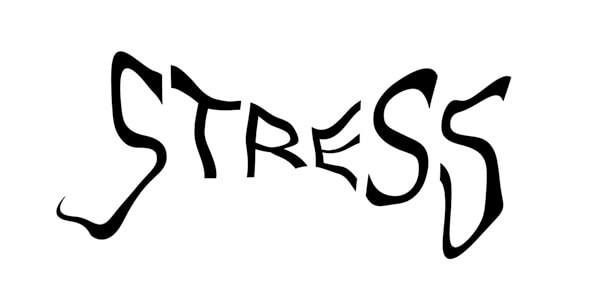 テストステロンの分泌量は、ストレスの影響を受ける